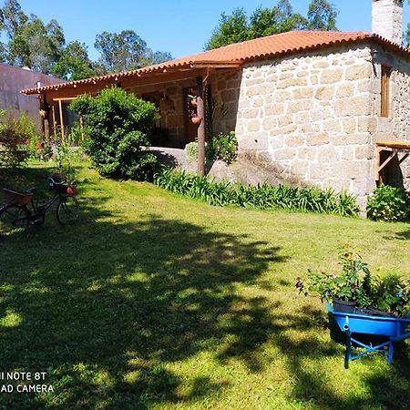 Casas Vale Martinho Bed & Breakfast Santa Comba Dao Ngoại thất bức ảnh