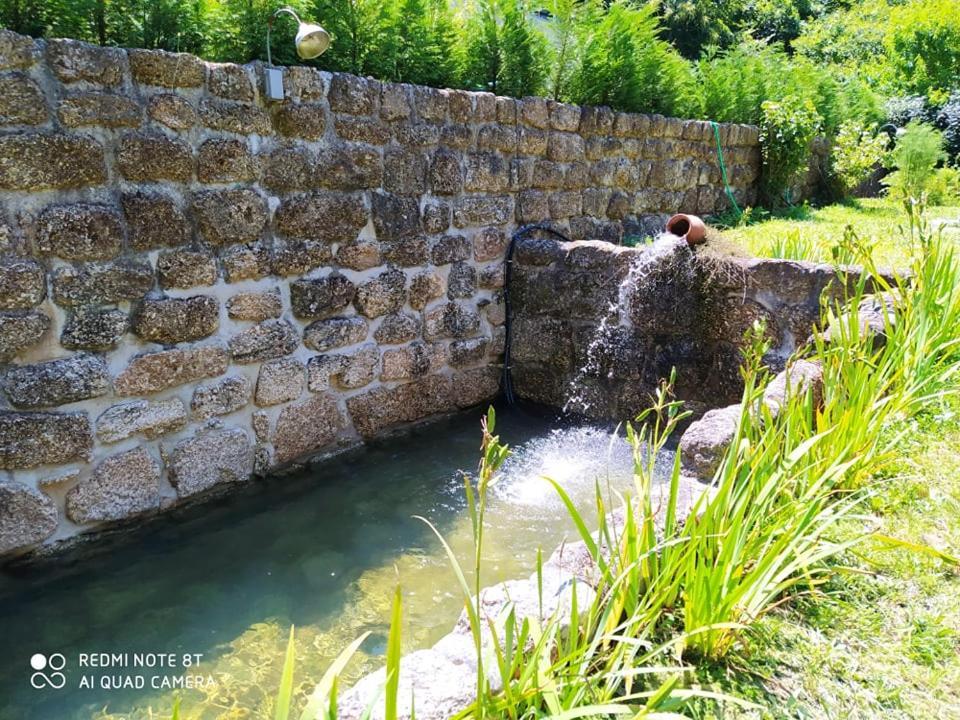 Casas Vale Martinho Bed & Breakfast Santa Comba Dao Ngoại thất bức ảnh
