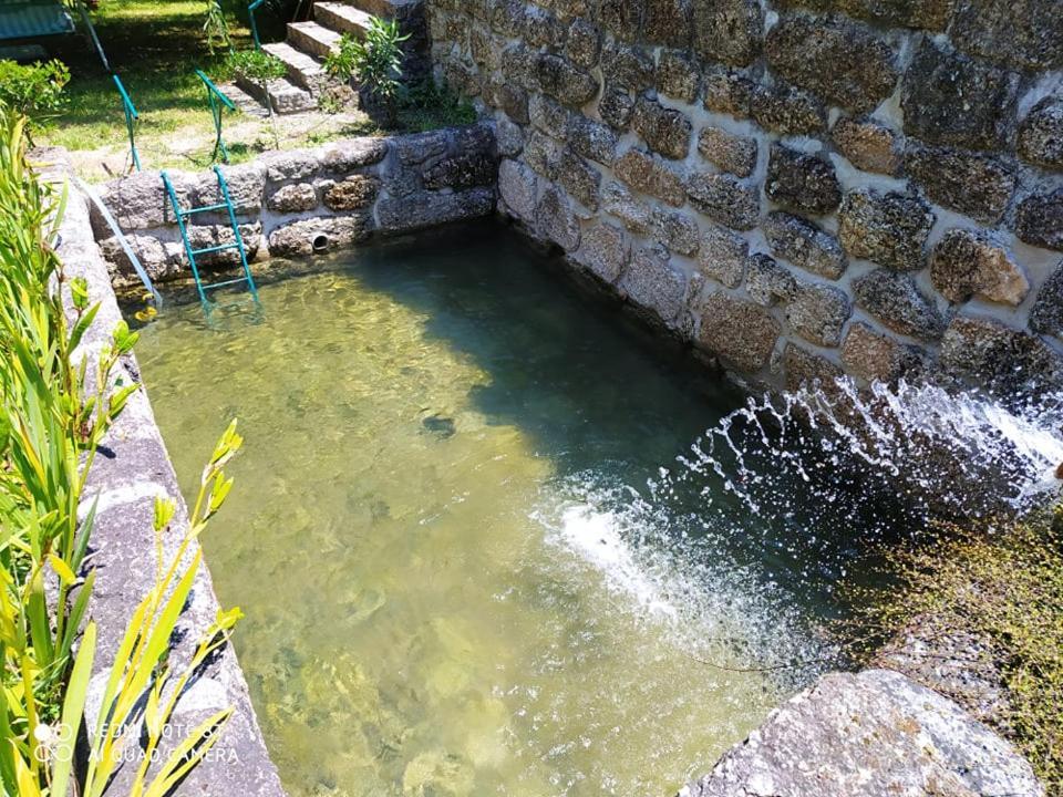 Casas Vale Martinho Bed & Breakfast Santa Comba Dao Ngoại thất bức ảnh