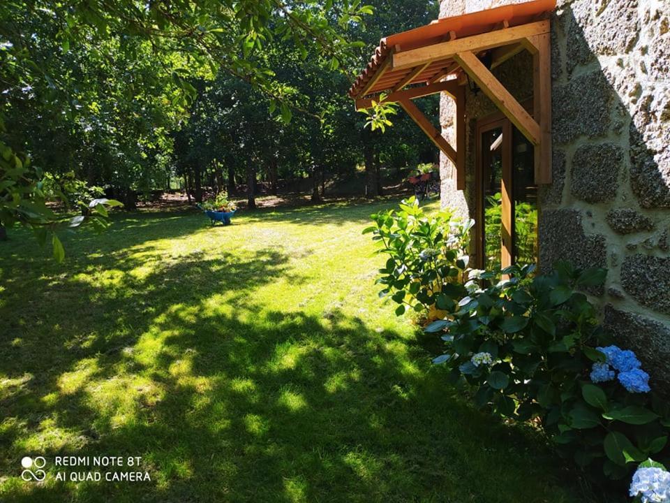 Casas Vale Martinho Bed & Breakfast Santa Comba Dao Ngoại thất bức ảnh