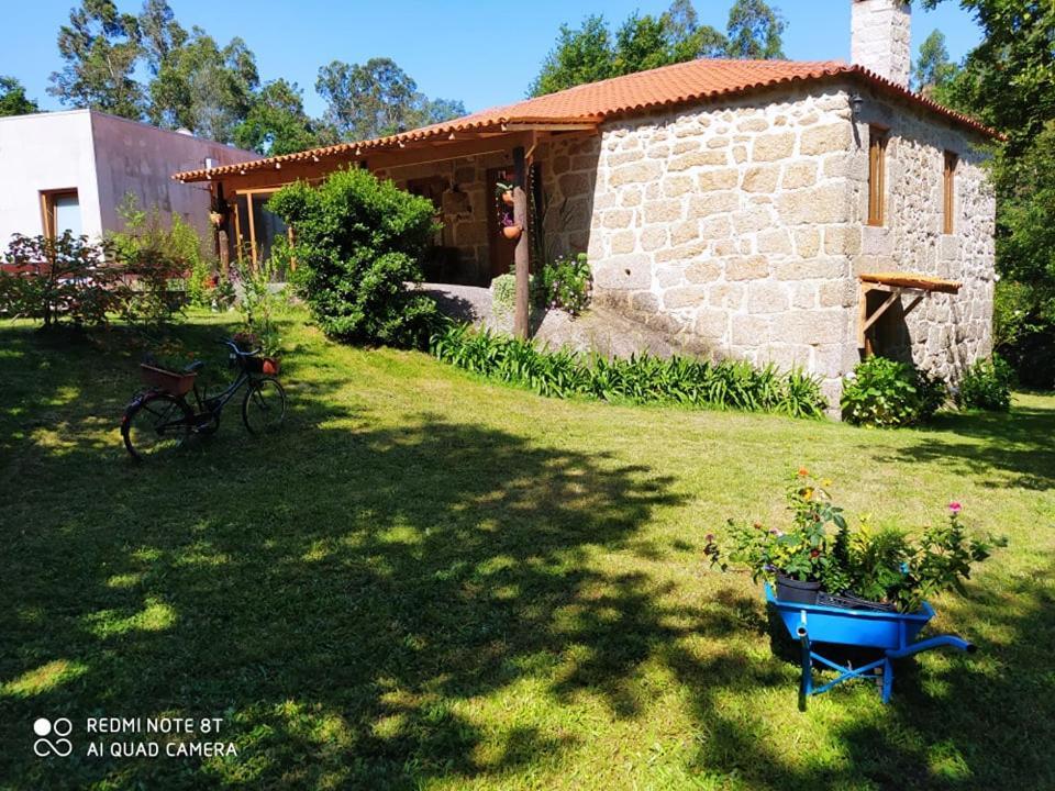 Casas Vale Martinho Bed & Breakfast Santa Comba Dao Ngoại thất bức ảnh
