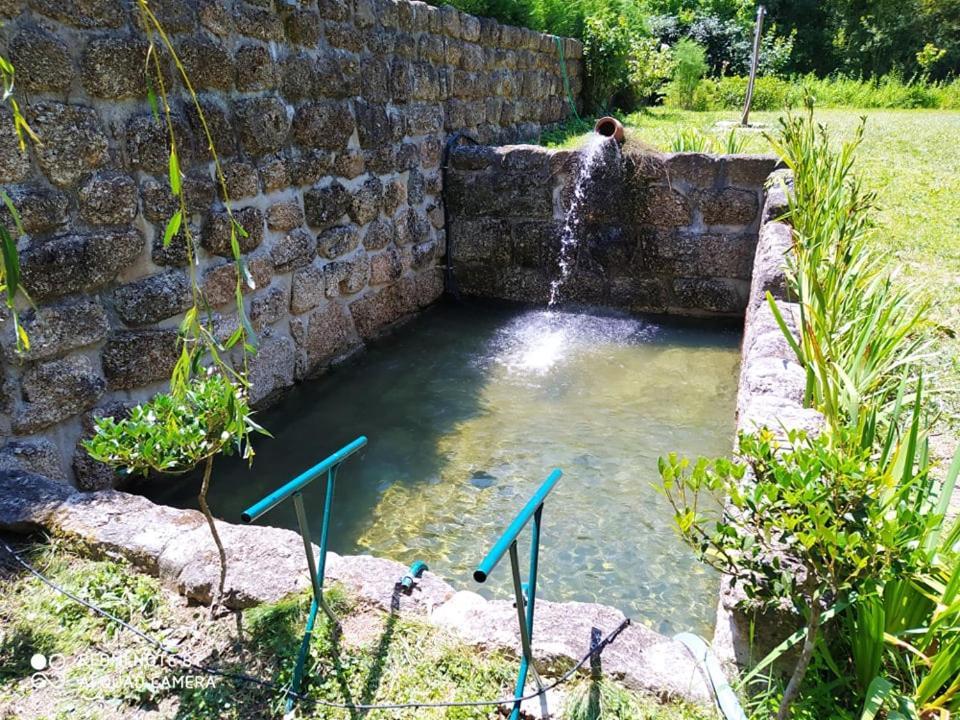 Casas Vale Martinho Bed & Breakfast Santa Comba Dao Ngoại thất bức ảnh