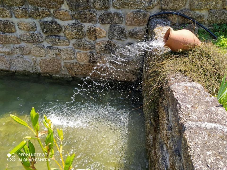 Casas Vale Martinho Bed & Breakfast Santa Comba Dao Ngoại thất bức ảnh