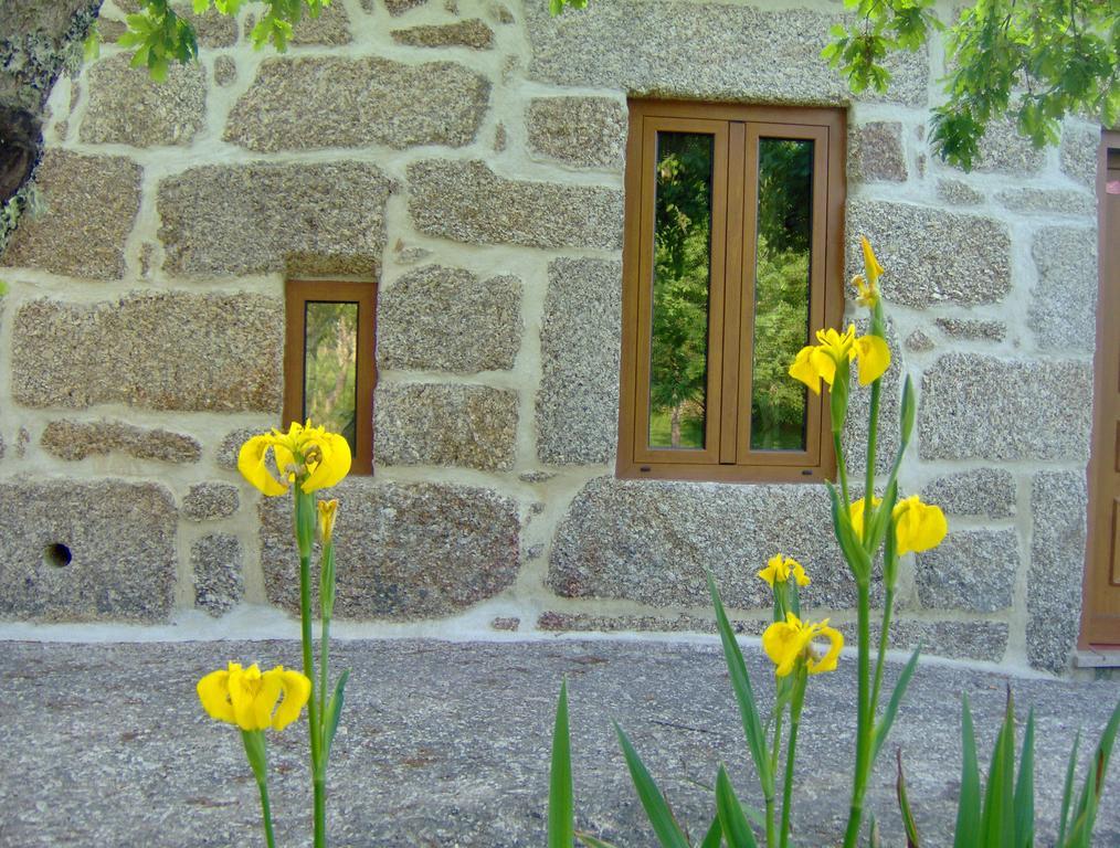 Casas Vale Martinho Bed & Breakfast Santa Comba Dao Ngoại thất bức ảnh