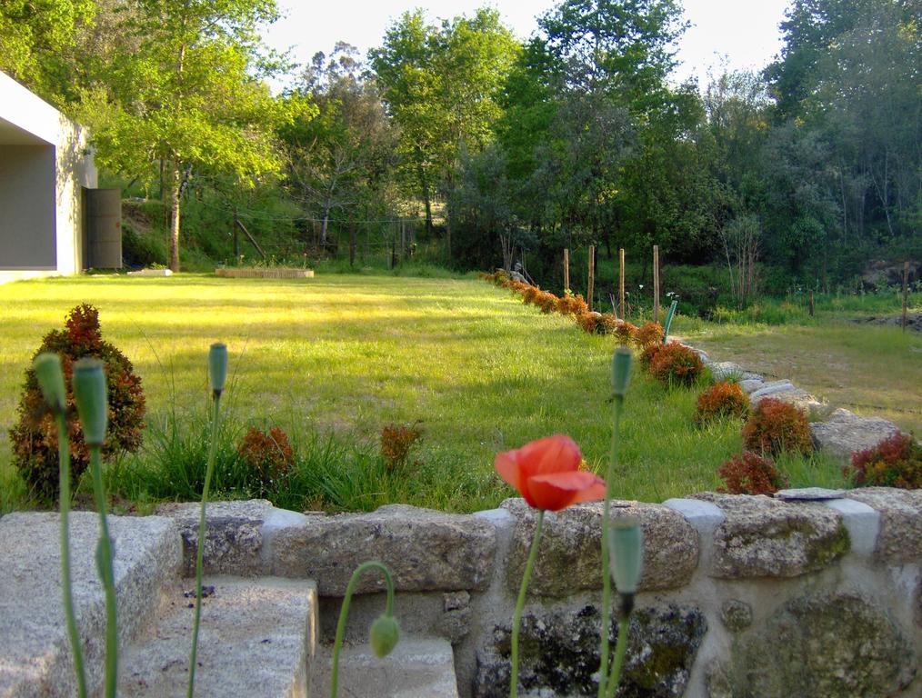Casas Vale Martinho Bed & Breakfast Santa Comba Dao Ngoại thất bức ảnh