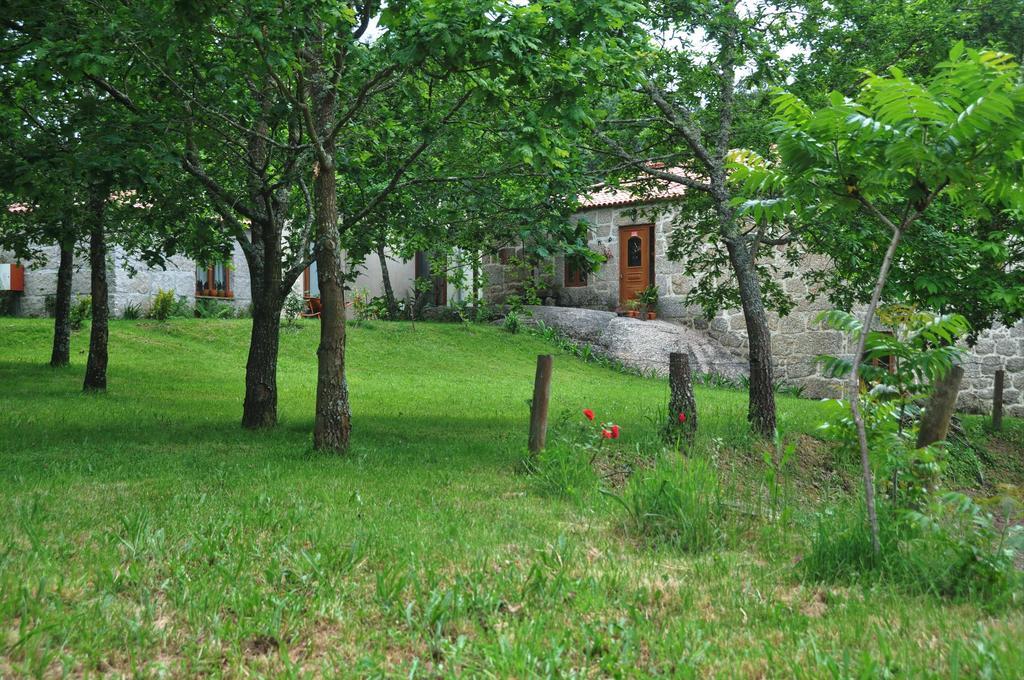 Casas Vale Martinho Bed & Breakfast Santa Comba Dao Ngoại thất bức ảnh