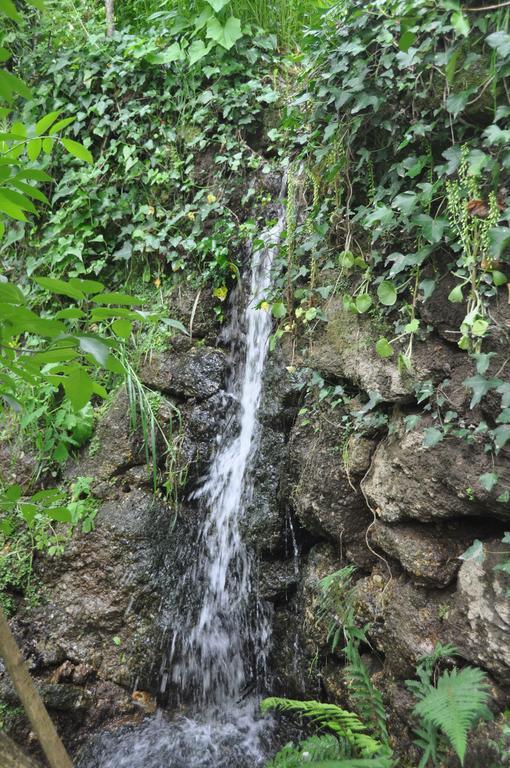 Casas Vale Martinho Bed & Breakfast Santa Comba Dao Ngoại thất bức ảnh
