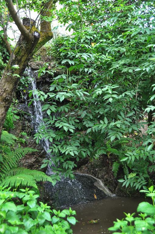 Casas Vale Martinho Bed & Breakfast Santa Comba Dao Ngoại thất bức ảnh