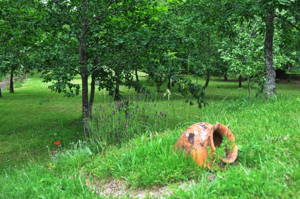 Casas Vale Martinho Bed & Breakfast Santa Comba Dao Ngoại thất bức ảnh